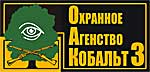 Логотип - КОБАЛЬТ-3